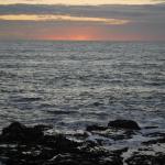 Cambria_0247 (November 05, 2011)